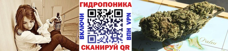 Все наркотики Городовиковск Бошки Шишки 