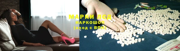 трава Беломорск